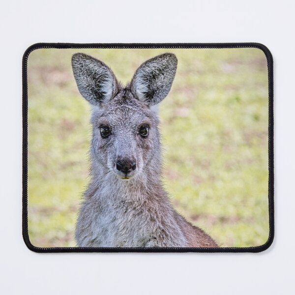 Item preview, Kangaroo designed and sold by Catherine Reading.