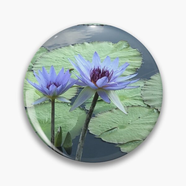 Item preview, Water Loving Lilies designed and sold by KMHPhotography.