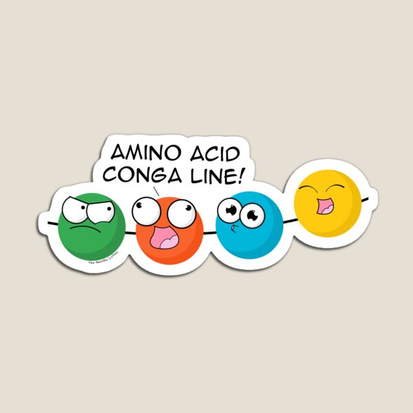 Amino Acid Conga Line Magnet