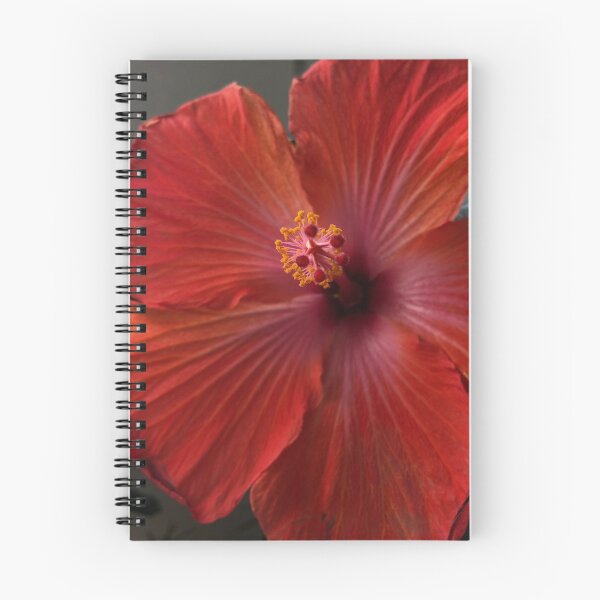Item preview, Hibiscus Holiday designed and sold by KMHPhotography.