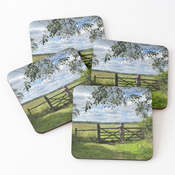 Item preview, Lady leans on a farm gate.Rural country scene designed and sold by Tony Skerl.