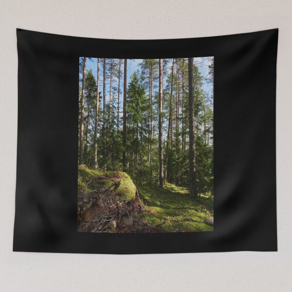 Item preview, Hillside views. Seitseminen National Park designed and sold by Jouko Lehto Photography.