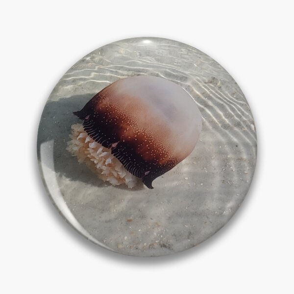 Item preview, Cannonball Jellyfish, Florida Beach designed and sold by InkyandCotton.