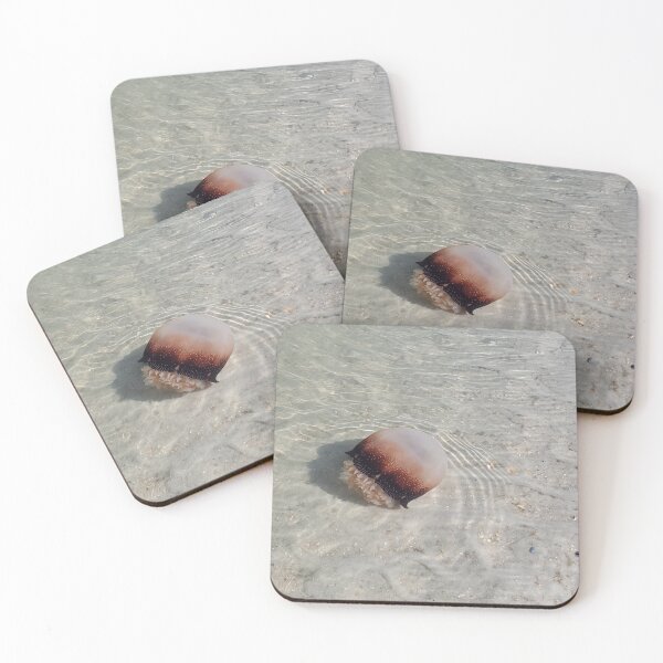 Item preview, Cannonball Jellyfish, Florida Beach designed and sold by InkyandCotton.