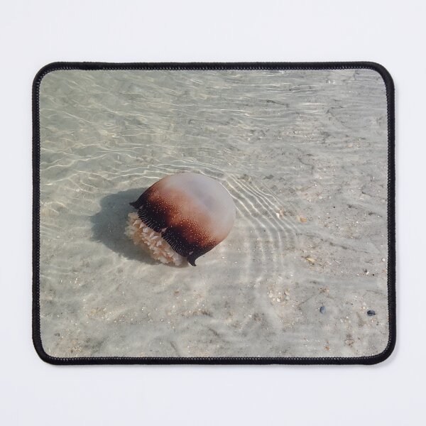 Item preview, Cannonball Jellyfish, Florida Beach designed and sold by InkyandCotton.