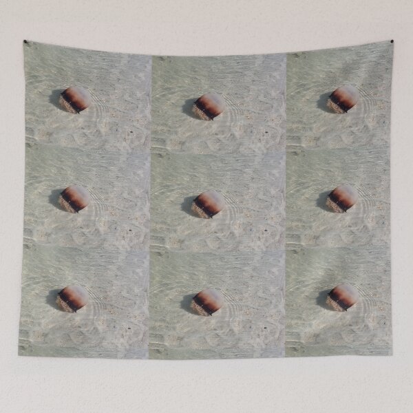 Item preview, Cannonball Jellyfish, Florida Beach designed and sold by InkyandCotton.