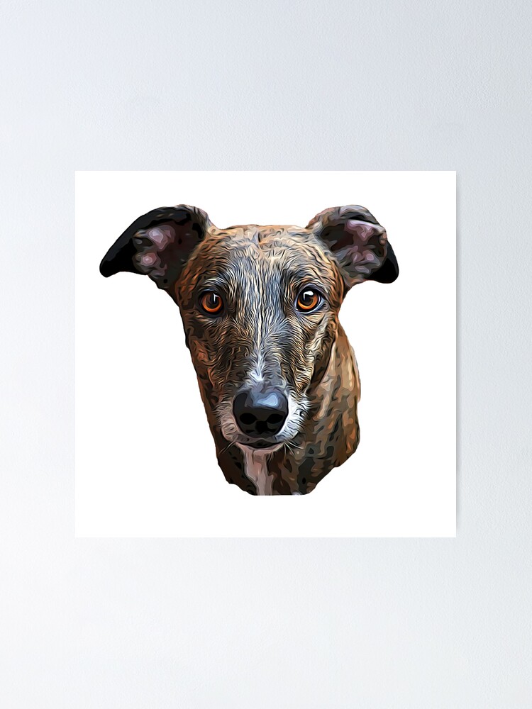«Retrato de perro galgo atigrado» de Elarex | Redbubble