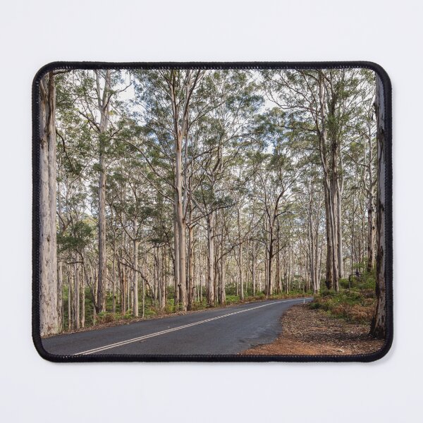 Item preview, Empty road through Boranup Forest, Western Australia designed and sold by Images by Chris de Blank.