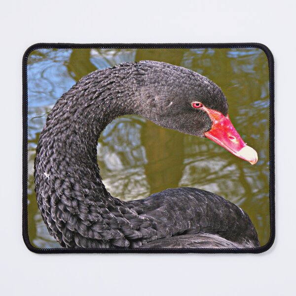 Item preview, The Black Swan designed and sold by ColinBoylett.