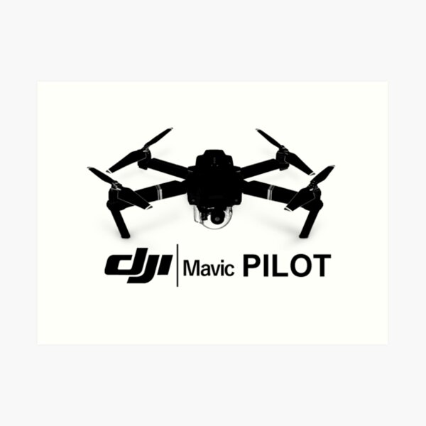 mavic pilots