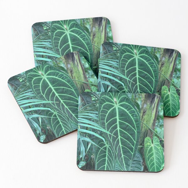 Item preview, Queen and King Anthurium Fresh designed and sold by DFMHart.