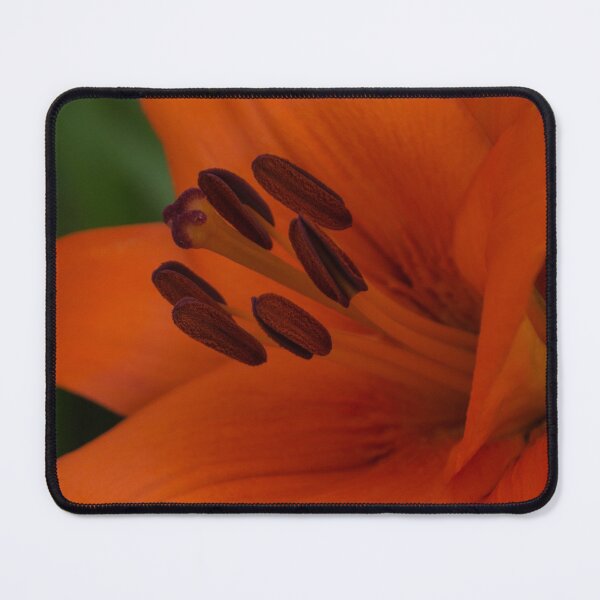 Item preview, A Solo Daylily designed and sold by Georgia Mizuleva.