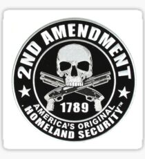 Pegatina 2nd Amendment Skull
