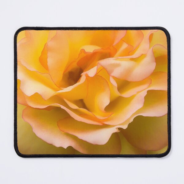 Item preview, Early Summer Blooms Impressions - Elegant Peach Rose designed and sold by Georgia Mizuleva.