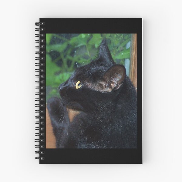 Item preview, ¡Mirada cariñosa! designed and sold by chstudios.