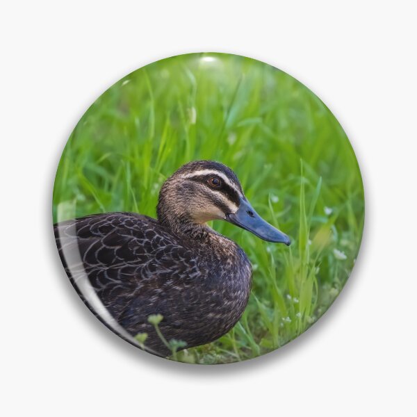 Item preview, Duck duck go ducks in the grass designed and sold by Jason Gilbert.