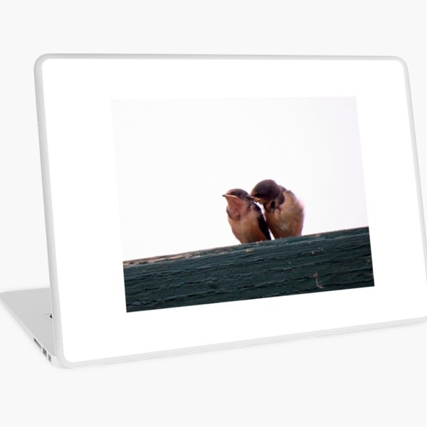 Swallow Siblings Laptop Skin