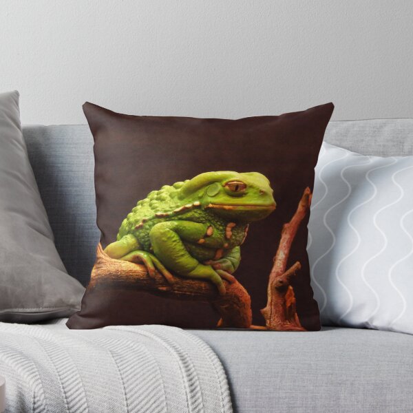 Serious Frog Throw Pillow