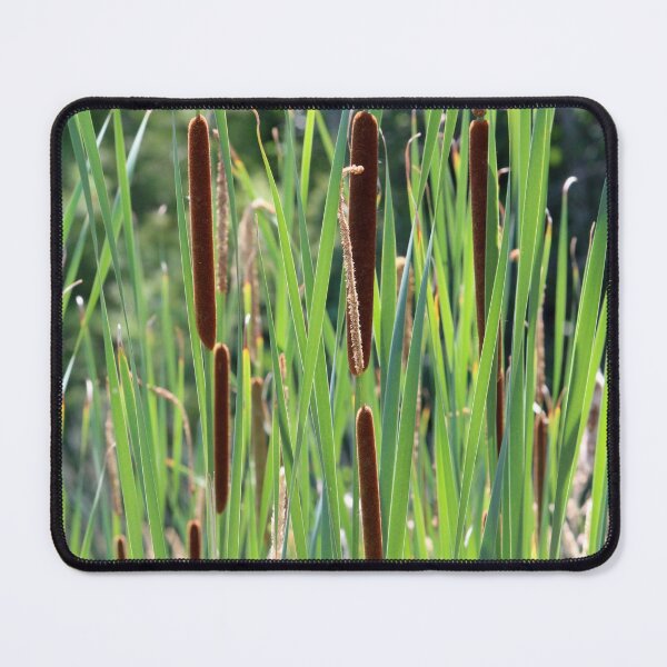 Item preview, Cattails in the Sun designed and sold by Susie Kramer.
