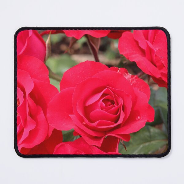 Item preview, Red Roses designed and sold by Susie Kramer.