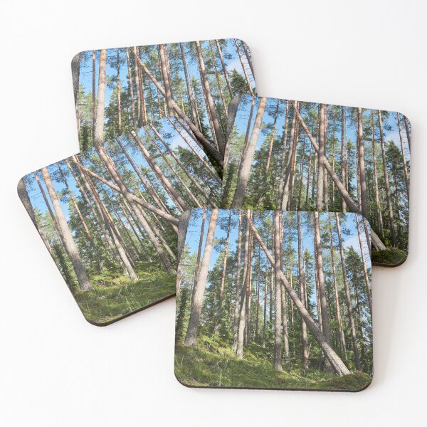 Item preview, Some fall the others stay tall. Seitseminen National Park designed and sold by Jouko Lehto Photography.