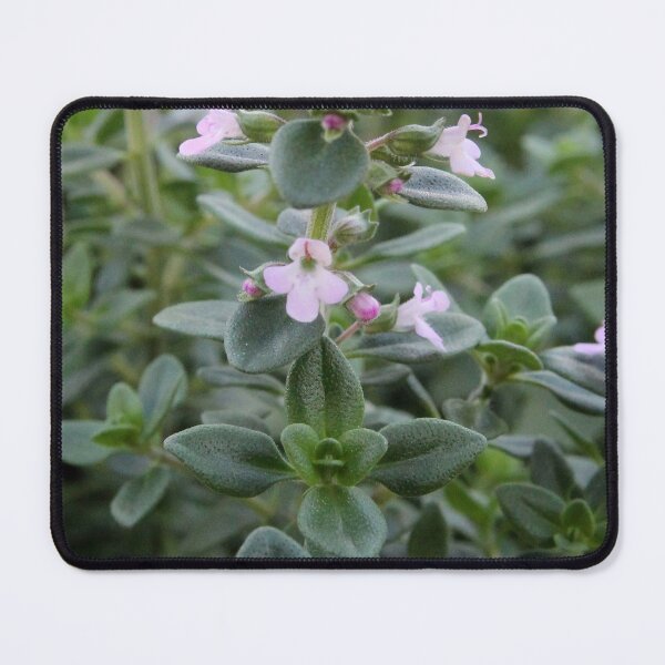 Item preview, Thyme designed and sold by Susie Kramer.