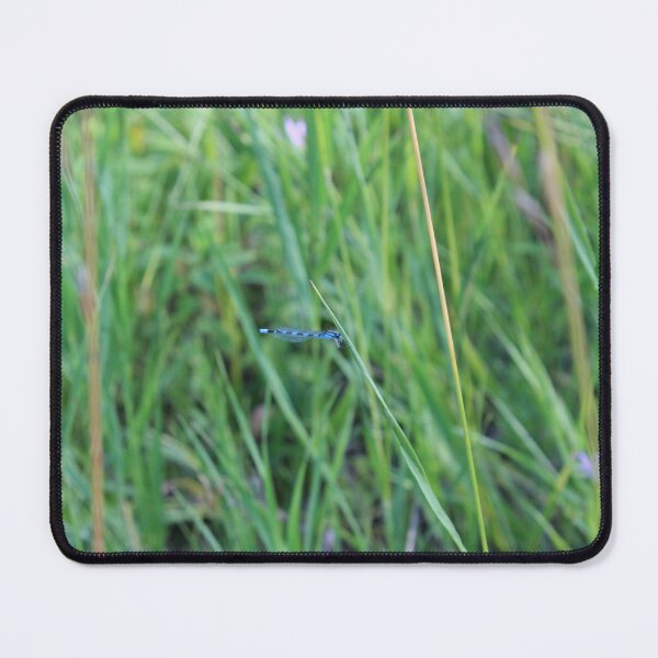 Item preview, Damselfly Blue designed and sold by Susie Kramer.