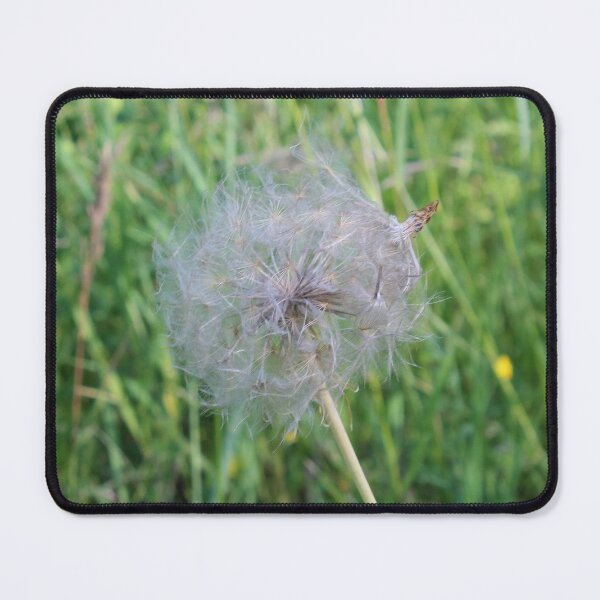 Item preview, Jumbo Dandelion Close Up designed and sold by Susie Kramer.