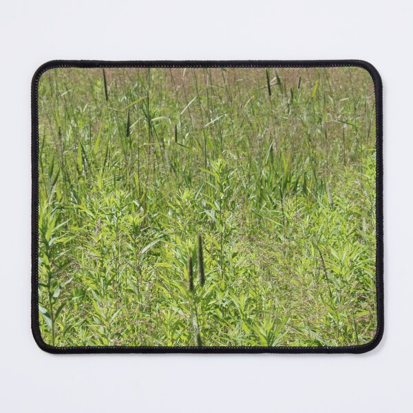 Item preview, Summer Grasses Vertical designed and sold by Susie Kramer.