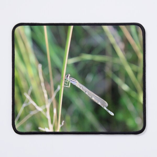 Item preview, Little Damselfly designed and sold by Susie Kramer.