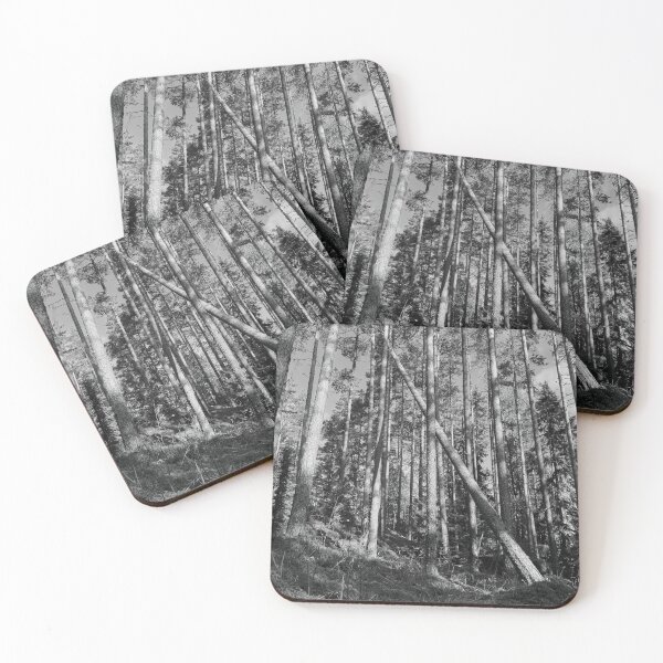 Item preview, Some fall the others stay tall. Seitseminen National Park bw designed and sold by Jouko Lehto Photography.