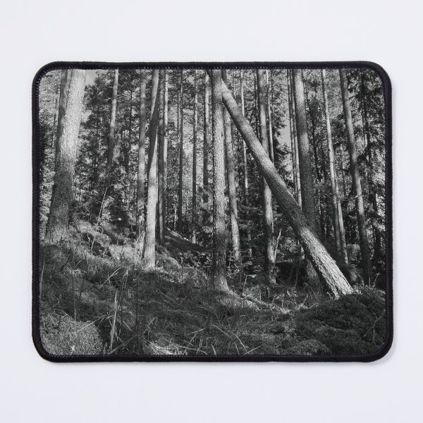 Item preview, Some fall the others stay tall. Seitseminen National Park bw designed and sold by Jouko Lehto Photography.