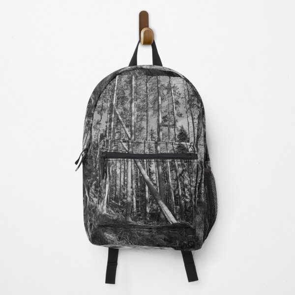 Item preview, Some fall the others stay tall. Seitseminen National Park bw designed and sold by Jouko Lehto Photography.