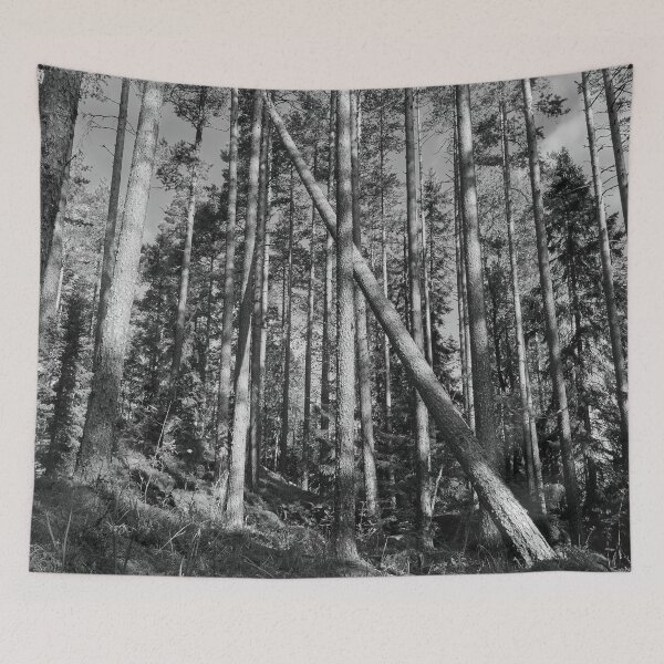 Item preview, Some fall the others stay tall. Seitseminen National Park bw designed and sold by Jouko Lehto Photography.