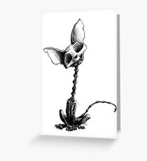 chat squelette Greeting Card
