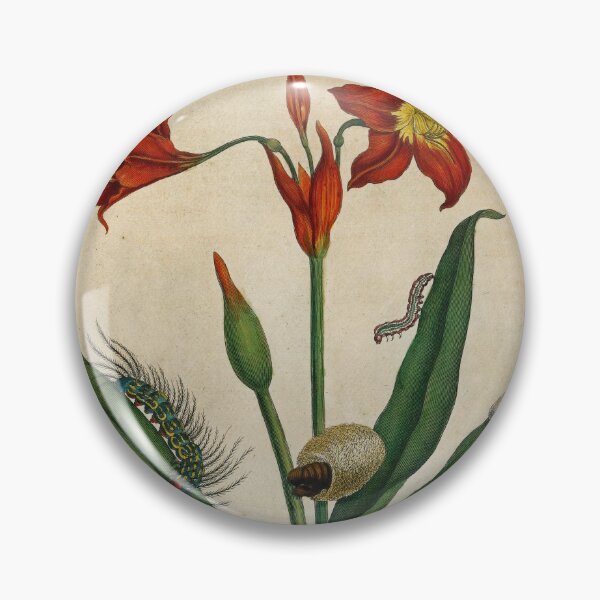 Item preview, Barbados lily with moth and sapsuckling insect designed and sold by Lloyd Library & Museum.