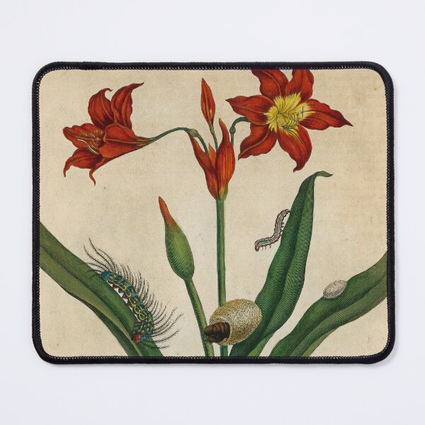 Item preview, Barbados lily with moth and sapsuckling insect designed and sold by Lloyd Library & Museum.