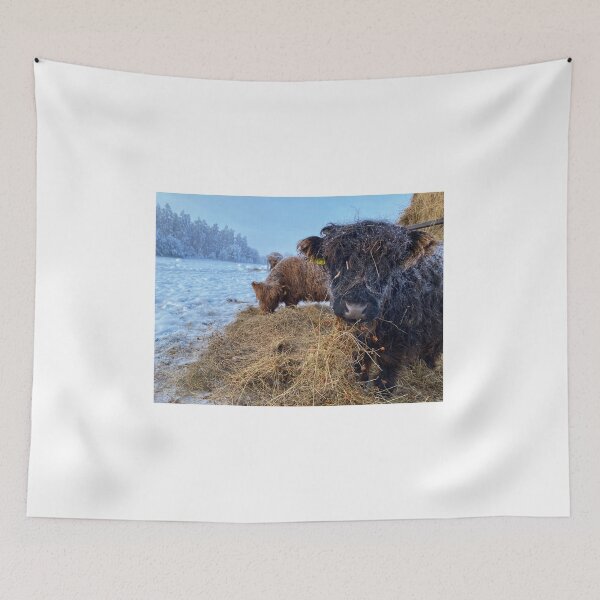 Item preview, Scottish Highland Cattle Caves in snow 2733 designed and sold by SaarelaHighland.