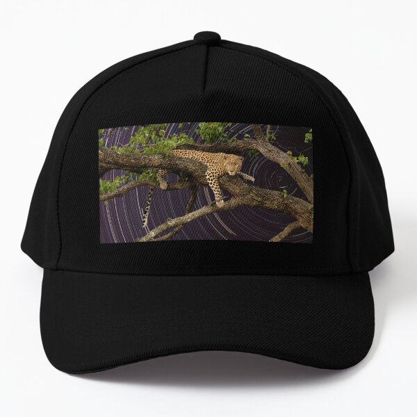 Leopard in tree with startrail Baseball Cap