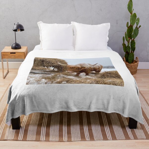 Item preview, Scottish Highland Cattle Cow in snow 2736 designed and sold by SaarelaHighland.