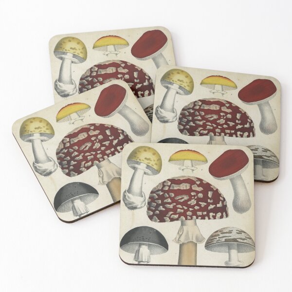 Item preview, Mushrooms from Berge's Giftpflanzenbuch designed and sold by Lloyd Library & Museum.