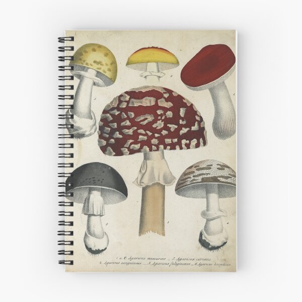 Item preview, Mushrooms from Berge's Giftpflanzenbuch designed and sold by Lloyd Library & Museum.