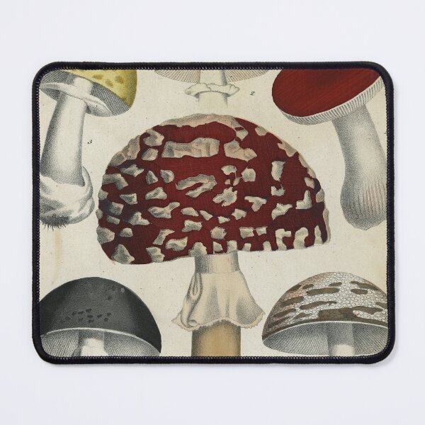 Item preview, Mushrooms from Berge's Giftpflanzenbuch designed and sold by Lloyd Library & Museum.