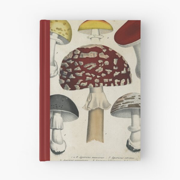 Item preview, Mushrooms from Berge's Giftpflanzenbuch designed and sold by Lloyd Library & Museum.