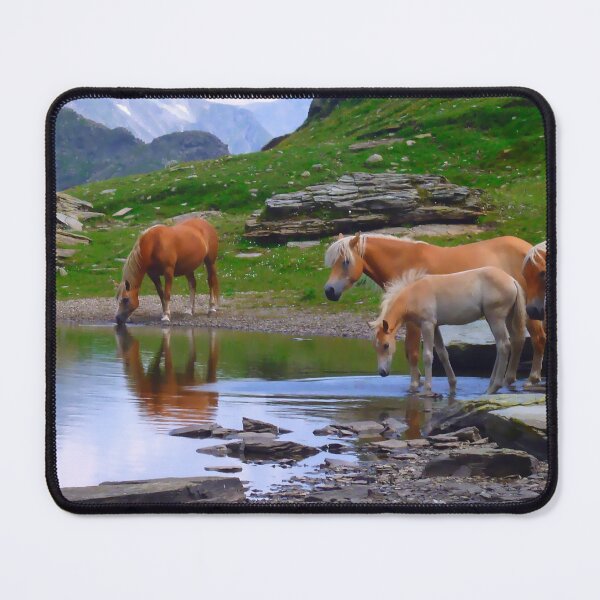 Item preview, Avelignese Horses designed and sold by Laura Greco.