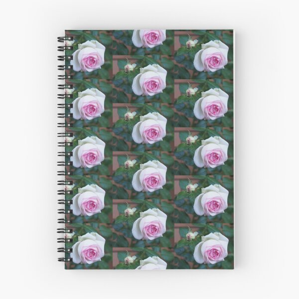 Item preview, Rosa designed and sold by RaWhit.