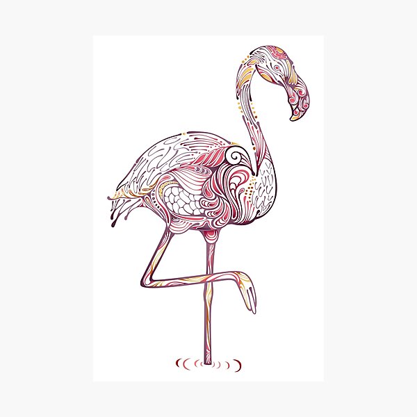 Flamingo\