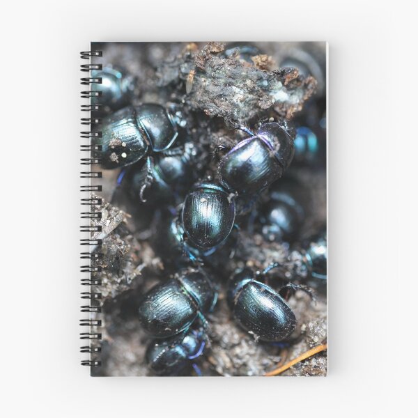 Item preview, The dung beetles Anoplotrupes stercorosus designed and sold by Zosimus.
