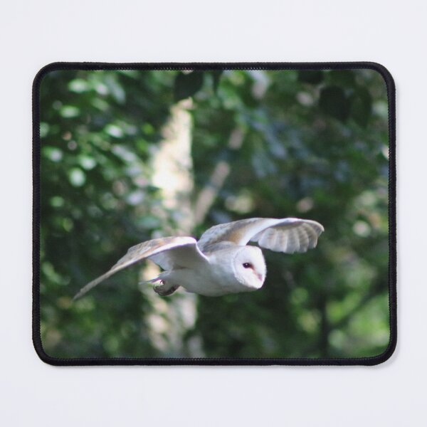 Item preview, White Owl designed and sold by SJHorsfall.
