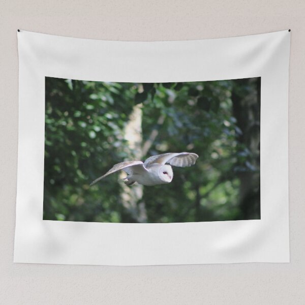 Item preview, White Owl  designed and sold by SJHorsfall.